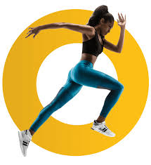 The global attention agency that guarantees results. Seo For Sport Hedgehog Sports Marketing Agency