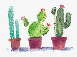 Watercolor Cactus Watercolor Clipart Hand Painted Cactus Watercolor Png Transparent Clipart Image And Psd File For Free Download Watercolor Cactus Cactus Images Cactus