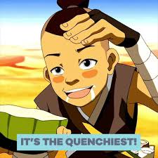 Drinking cactus water on an empty stomach will give you diarrhea or make you vomit. Avatar The Last Airbender Avatar Quenchiest Cactus Juice Facebook