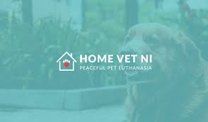 She is a graduate of kalamazoo college (ba) and earned her doctorate of veterinary medicine (dvm) at michigan state university. Home Home Vet Ni