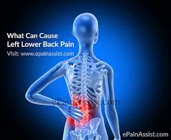 Any of the left side organs can feel pain at any time due to different kinds of reasons. What Can Cause Left Lower Back Pain Symptoms Treatment