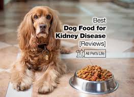 I am not a professional dog trainer, nor am i a certified nutritionist. 17 Best Dog Food For Kidney Disease Reviews 2021 All Pet S Life