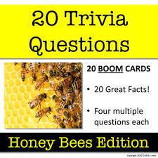 They produce honey, a favorite nutritious and extremely healthy product, the regular consumption of which. Trivia Honey Bee Trivia And Facts 20 Boom Card Questions Tpt