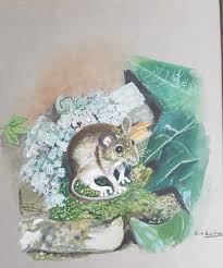 Biography of E.A Dunham/Gissing wildlife watercolour artist.