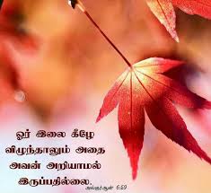 Pin On Quran Verses In Tamil