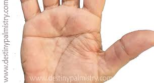 Pin On Palmistry