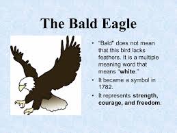 The Eagle Symbol Multiple Meaning Words Eagle Symbol Symbols