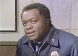 Junta Juleil's Culture Shock: Television Review: THE PARK IS MINE! (1986, Steven  Hilliard Stern)