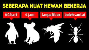 Konstitusi menjamin setiap individu hak untuk bekerja dan untuk menerima remunerasi dan perlakuan yang adil dan layak dalam pekerjaan. Hewan Apa Saja Yang Lebih Giat Bekerja Daripada Kita Youtube