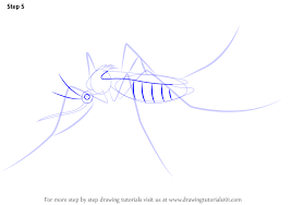 Learn How To Draw A Mosquito Insects Step By Step Drawing Tutorials Create stunning cartoon videos for your brand that will leave your audience in awe! learn how to draw a mosquito insects
