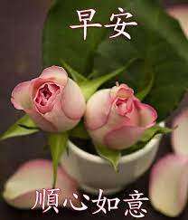 We did not find results for: Pin By May Chua On Good Morning Wishes In Chinese Good Morning Wishes Rose Flowers