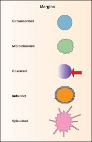 Bi Rads An Overview Sciencedirect Topics