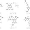 Our alexa fluor®* 594 fluoronanogold™conjugates offer an a second fluorophore, enabling the labeling of more than one target within a specimen with the brightness and photostability of the alexa. Https Encrypted Tbn0 Gstatic Com Images Q Tbn And9gcst Huhk Uq7bgelvnrkjkc1kvit0y9cavgmopno3vhoxbweqz3 Usqp Cau