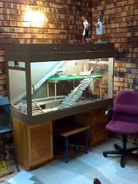 Image Result For 90 Gallon Gecko Tank Bearded Dragon Cage Bearded Dragon Terrarium Bearded Dragon Tank