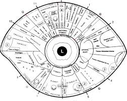 Free Iridology Eye Chart Downloads Large Iridology Chart