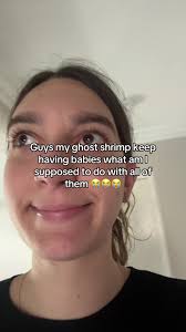 How to Prevent Ghost Shrimp from Breeding