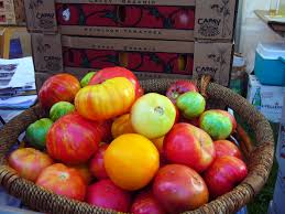 A good disease resistant tomato. Heirloom Tomato Wikipedia