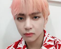 V's ideal type stage name: Who Are The Members Of Bts