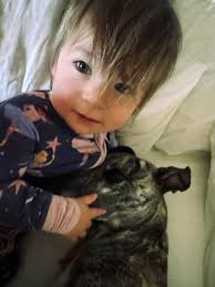 Ami and @gioisawhippet