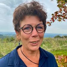 Fels in der Brandung