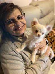 Le Royaume des Chichis d'Amour