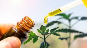 CBD Is Everywhere, but How Do I Know What's Safe? | Everyday Health