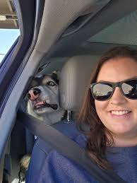 I had the privilege and honor to hike with beautiful old man Duke.. he is  so easy going and trusting❤️a few of the pictures are about 5 minutes  before we were chased