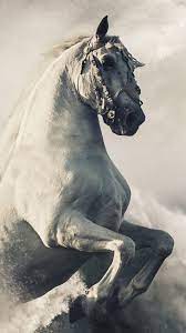 A collection of the top 22 horse phone wallpapers and backgrounds available for download for free. Horse Phone Wallpapers Top Free Horse Phone Backgrounds Wallpaperaccess