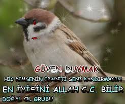 Kissadan Hisse Hazret I Omer Radiyallahu Anh Da Soyle Der Bir Kimsenin Kildigi Namaza Tuttugu Oruca Bakmayiniz Konustug Parrot Animals