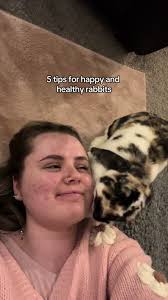 How to Make Ur Jack Rabbit Live Long