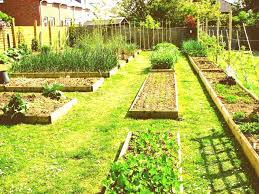 34 Small Garden Landscape Design On A Budget Thelatestdailynews Tanaman Desain Sayuran