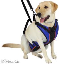 Walkin Lift N Step Harness Full Body Dog Harness Handicapped Pets Dog Harness Dog Wheelchair Pet Transport