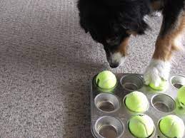 Hot dogs are nothing more than ground meat with seasonings and are easy to make at home when you follow this delicious recipe. Diy Dog Puzzles Cheap Online