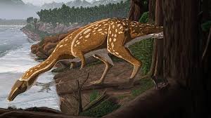 Haiwan ini sebenarnya bukan sejenis harimau, tetapi ia adalah marsupial pemakan daging (karnivor) yang paling besar diketahui pada zaman moden. Australia Jumpa Fosil Rare Spesies Dinosaur Hidup Tanpa Gigi Di Cape Otway Libur