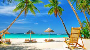The description of paradise beach live wallpapers app. Paradise Beach Live Wallpapers For Android Apk Download
