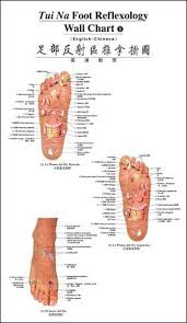 Tui Na Foot Reflexology Wall Chart English Chinese
