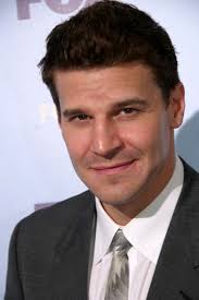 Likes to collect different sorts of london style shoes. David Boreanaz Seal Team Wiki Fandom