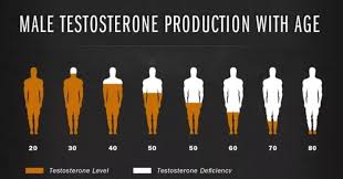 What Is Average Testosterone Level By Age Culture11