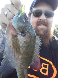 What plastics and presentations work for panfish?