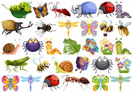 We did not find results for: Clip Art Images Free Vectors Stock Photos Psd