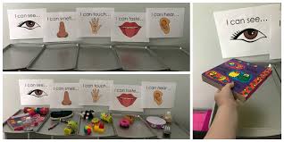 I hope you like these five senses activity ideas, teaching the 5 senses via science experiments. Exploring All 5 Senses In Preschool Sorting Activities And Books The Preschool Toolbox Blog
