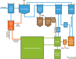 Improving Nutrient And Water Use Efficiencies In Multi Loop Aquaponics Systems Springerlink