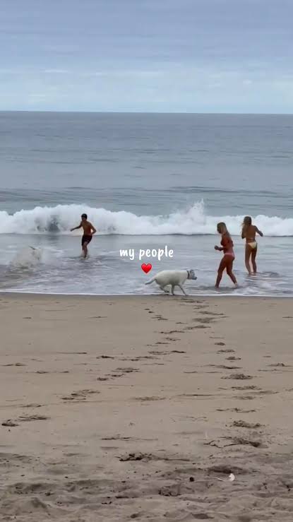 a tribute to ALL my friends whether you're pictured in this or not… th... |  grace mckenna | TikTok
