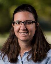 High Energy Particle Physics