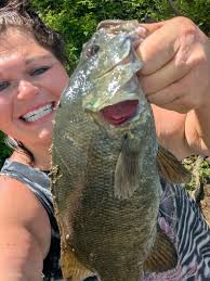 Bass player's Ampeg Franklin strap setup