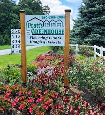 They brighten up beds and borders, add a pop of color to containers, and are a beautiful addition to cut flower arrangements or bouquets. About Us