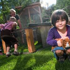 In addition to independent petting zoos, many general zoos contain a petting zoo. Animals At A Farm Petting Zoo Or Game Park Family Activities In Vorarlberg