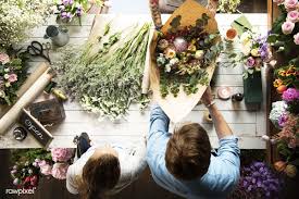 The conservatory of flowers is a veritable emerald city of juicy, verdant plant life. Nottingham Florist Jobs