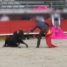Parole che iniziano con int, cruciverba: Corrida Il Mattino