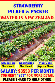 Worldjobsvacant Com Is An Online Jobs Board Here You Can Find Work Opportunities In Worldwide By Searching Through Th Work Opportunities Job Opening Job Board